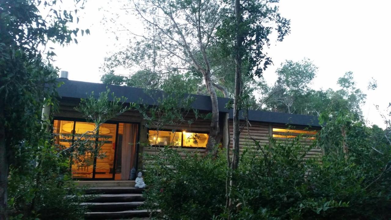 Chalet Los Troncos Sauce de Portezuelo Ngoại thất bức ảnh