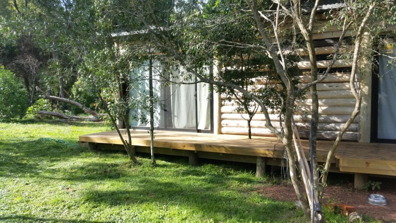 Chalet Los Troncos Sauce de Portezuelo Ngoại thất bức ảnh
